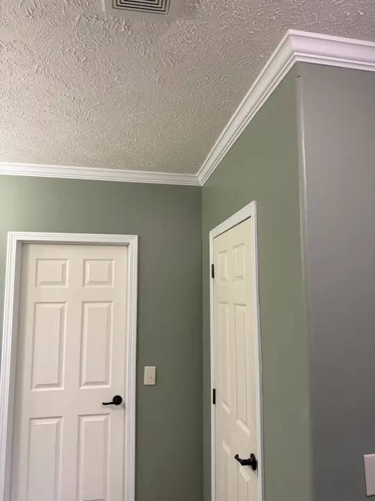 Two white six-panel doors set in sage green walls under white crown molding in Cleveland, TN