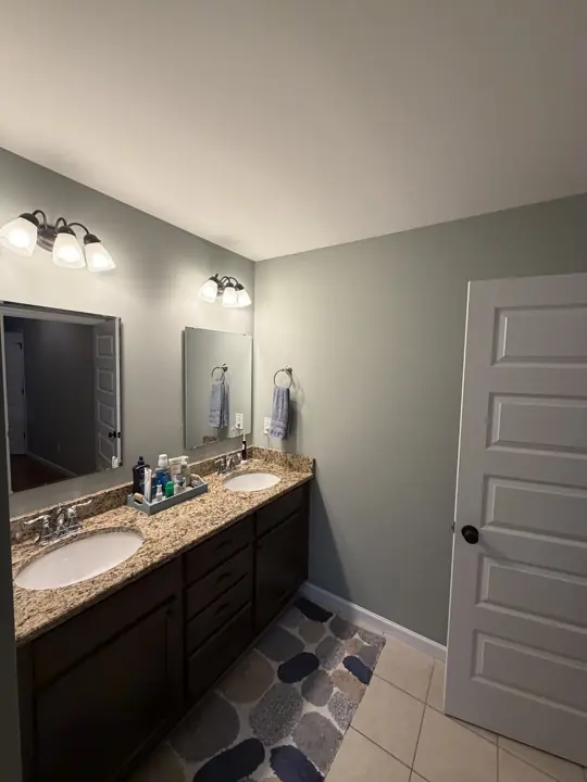 Bathroom with sage green walls, double vanity and white paneled door in Cleveland, TN