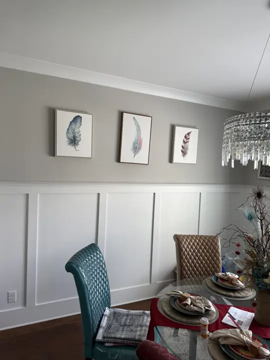 White panel wainscoting under light gray walls with framed feather prints in Ooltewah, TN