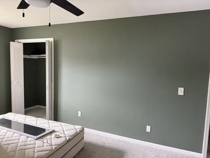 Sage green bedroom wall with white baseboard and closet in Hixson, TN