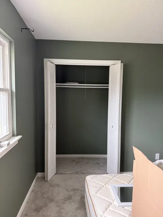 Sage green closet wall with white bifold doors in Hixson, TN