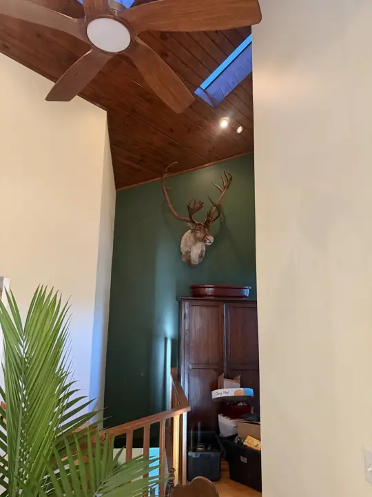 Tall forest green stair wall under a wood plank ceiling and skylight in Coalmont, TN
