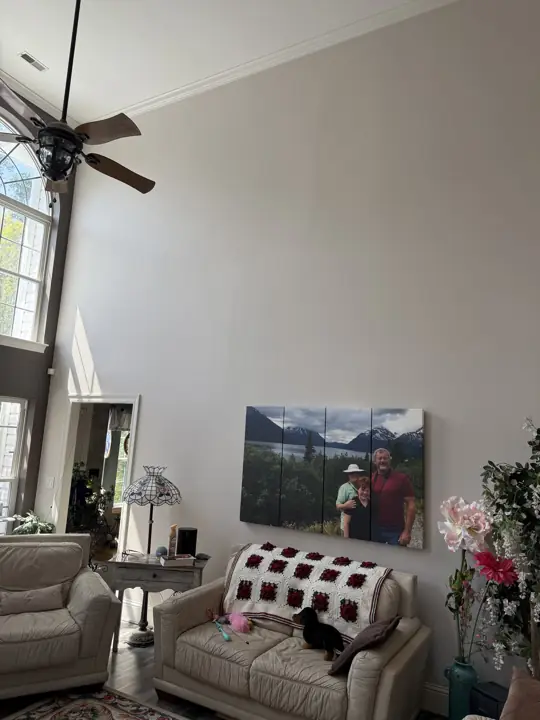 Tall light gray living room wall with crown molding in Hixson, TN