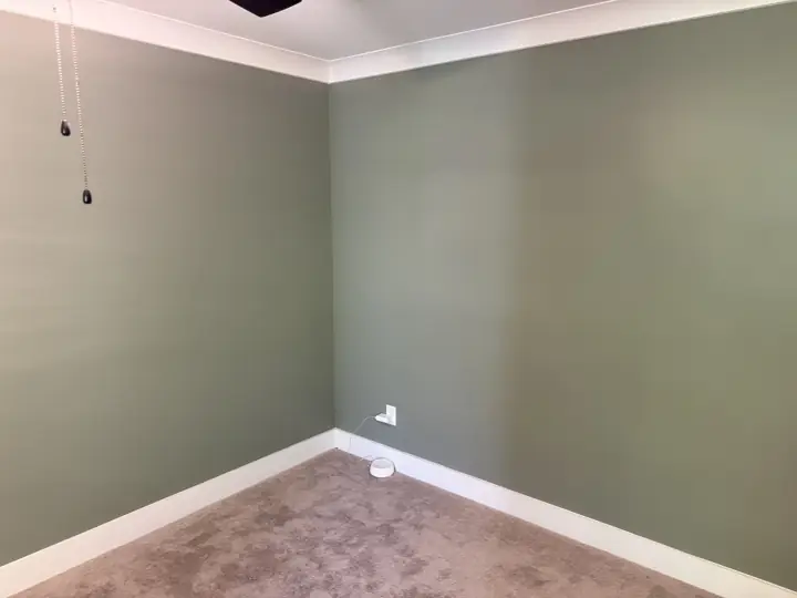 Corner of a sage green bedroom with white baseboards, Soddy-Daisy, TN