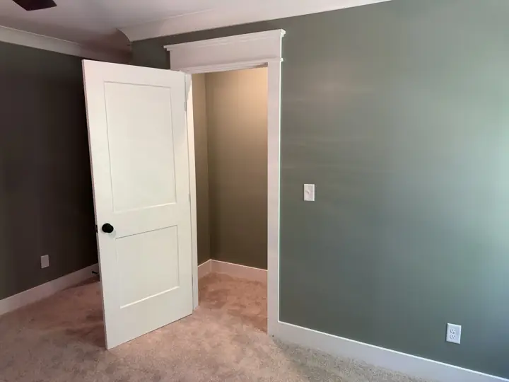 Sage green bedroom with white two-panel door and closet casing, Soddy-Daisy, TN
