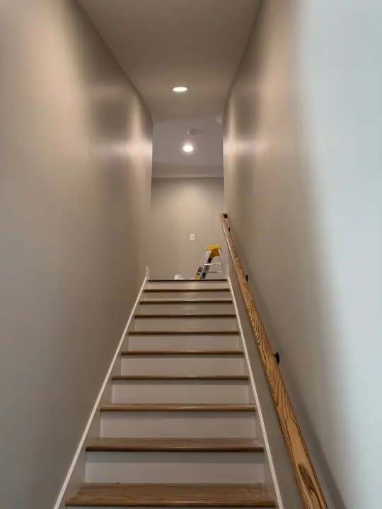 Tall stairwell walls in greige with white stair risers, Soddy-Daisy, TN